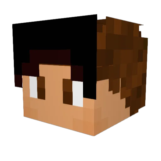 nubsi2 Minecraft avatar head, 3D render