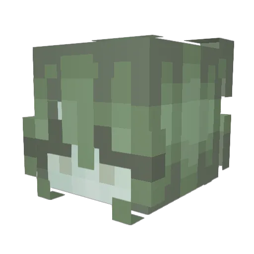 nubwith4bs Minecraft avatar head, 3D render