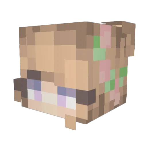 nuckii Minecraft avatar head, 3D render