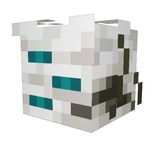 nucts420 Minecraft avatar head, 3D render