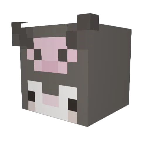 nugbri Minecraft avatar head, 3D render