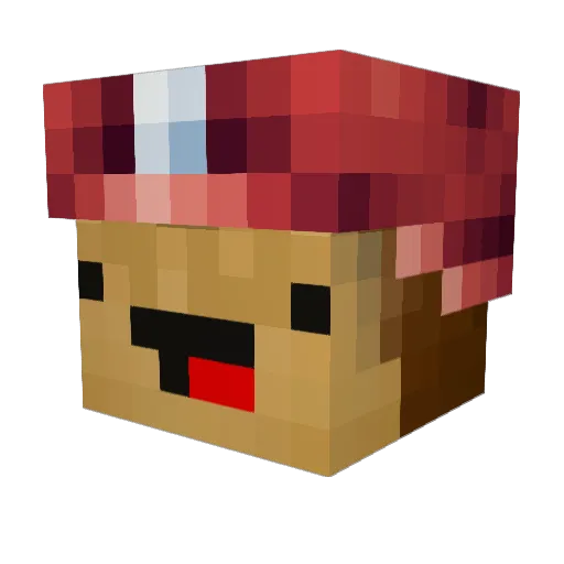 nugget249 Minecraft avatar head, 3D render