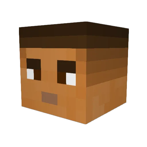 nuggets0001 Minecraft avatar head, 3D render