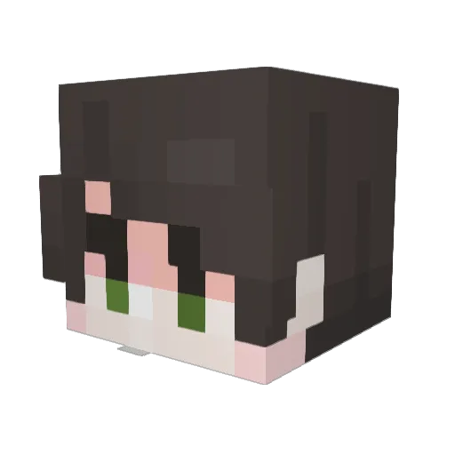 nuiised Minecraft avatar head, 3D render