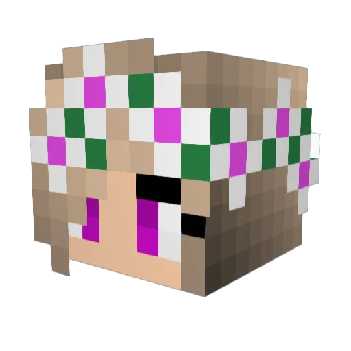 nukodaisuke Minecraft avatar head, 3D render