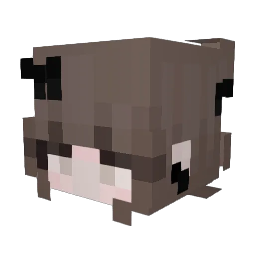 nukodayo Minecraft avatar head, 3D render