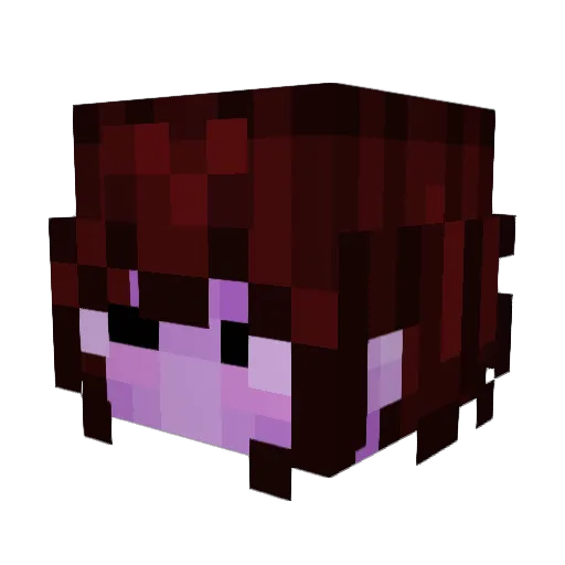 nukt Minecraft avatar head, 3D render