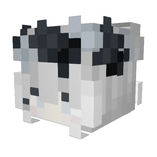 nulfl Minecraft avatar head, 3D render