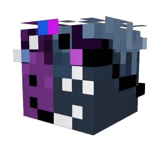 null_dove Minecraft avatar head, 3D render