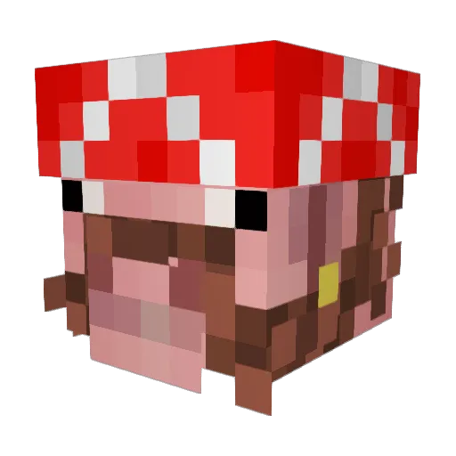 nuller211 Minecraft avatar head, 3D render
