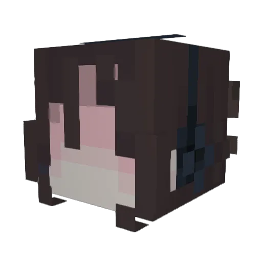 nullivfy Minecraft avatar head, 3D render
