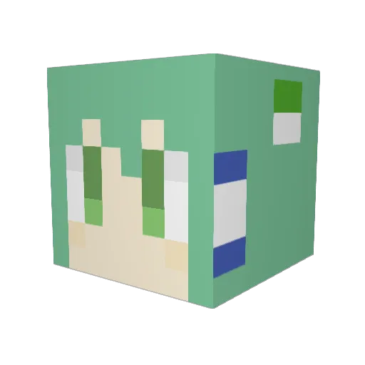 nulllpo Minecraft avatar head, 3D render
