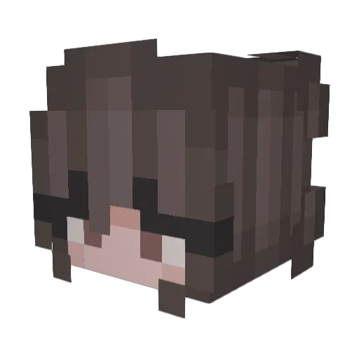 number1troll Minecraft avatar head, 3D render