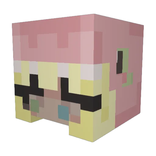 numbr1trashcan Minecraft avatar head, 3D render