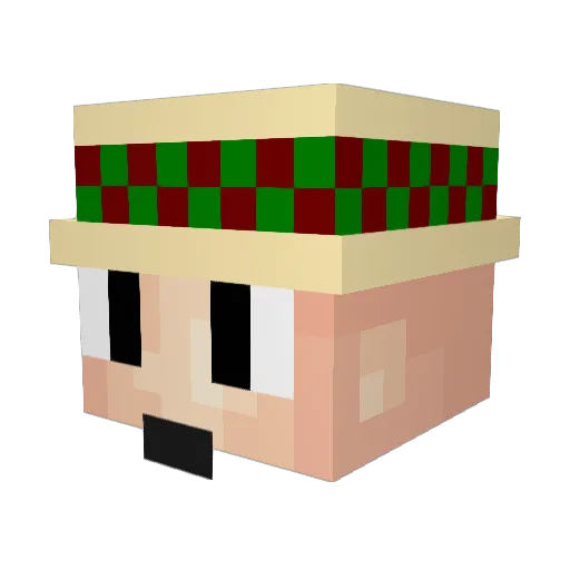 nunchukpanda Minecraft avatar head, 3D render
