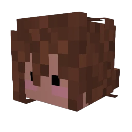 nunchunfudgel Minecraft avatar head, 3D render