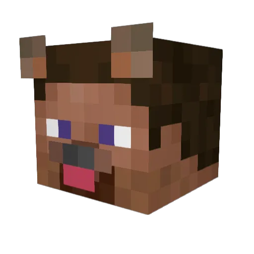 nungma Minecraft avatar head, 3D render