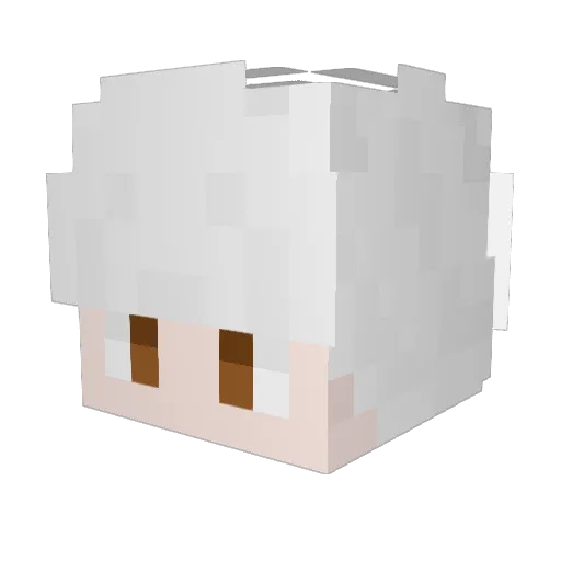 nungnuguri Minecraft avatar head, 3D render