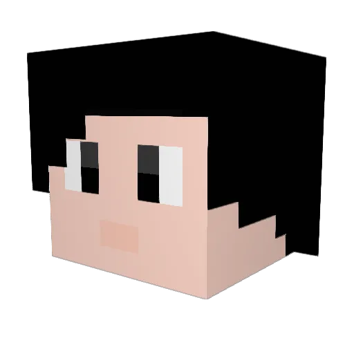 nuoyi5290 Minecraft avatar head, 3D render