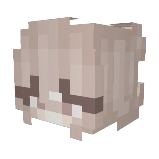 nursemasters Minecraft avatar head, 3D render