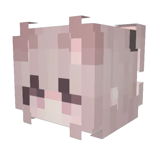 nurserykitty Minecraft avatar head, 3D render