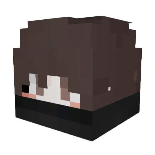 nurungg1 Minecraft avatar head, 3D render