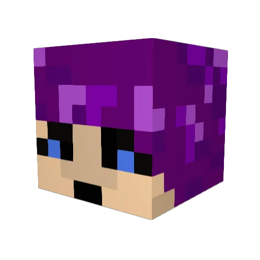 nusi0118 Minecraft avatar head, 3D render