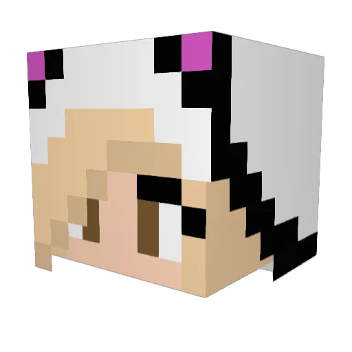 nuskis44 Minecraft avatar head, 3D render