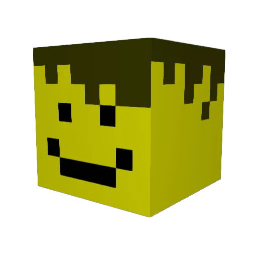 nussi8701 Minecraft avatar head, 3D render