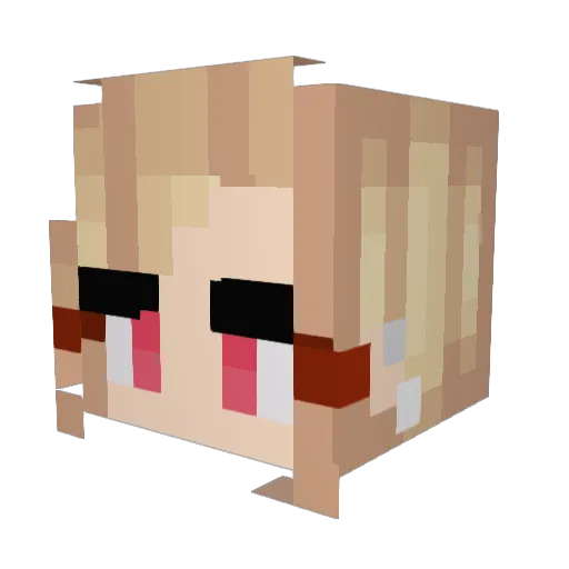 nutbusterr123 Minecraft avatar head, 3D render