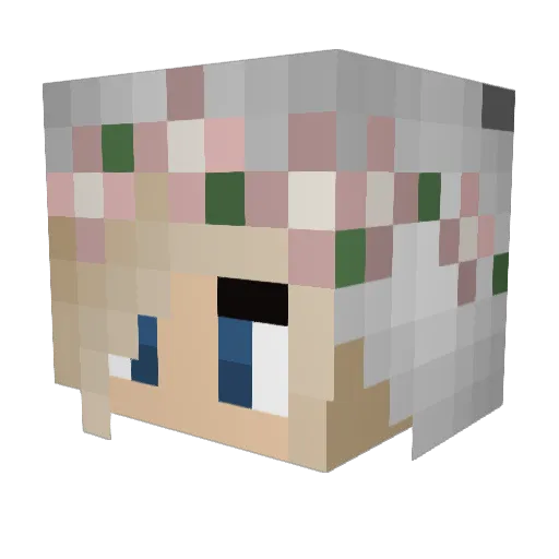 nutckracker123 Minecraft avatar head, 3D render