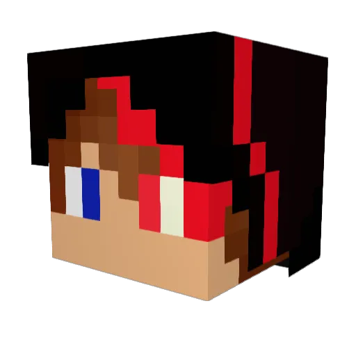 nutellam15 Minecraft avatar head, 3D render