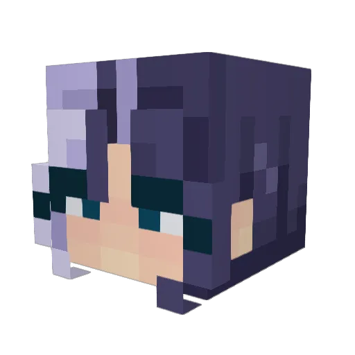 nutmeg_dodo Minecraft avatar head, 3D render