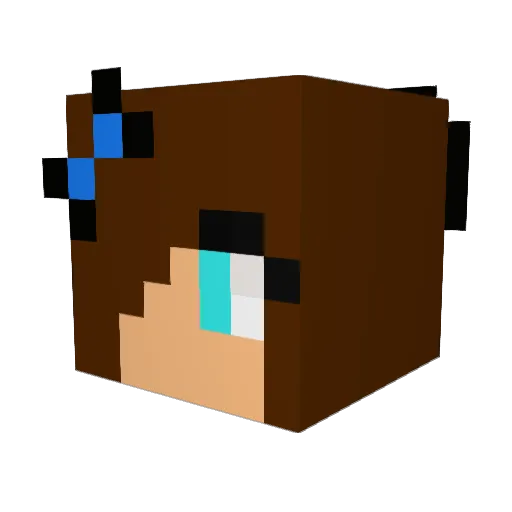 nutmegan12 Minecraft avatar head, 3D render