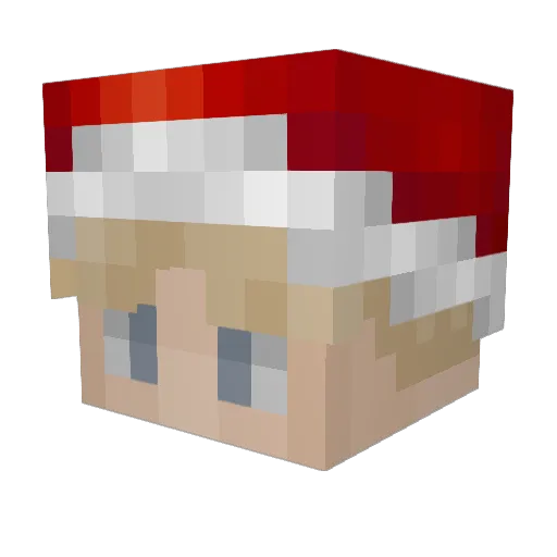 nutsDark Minecraft avatar head, 3D render