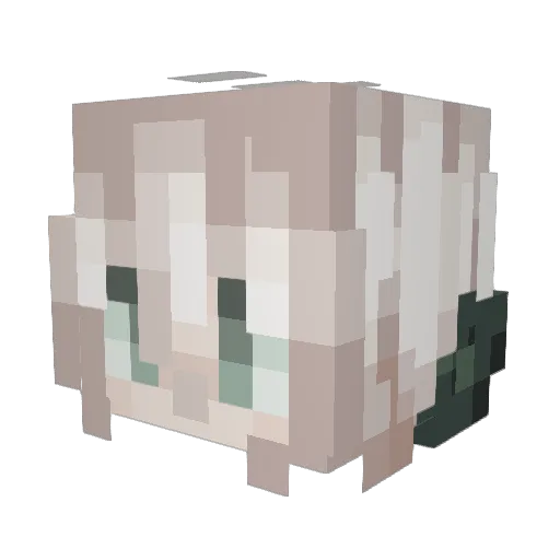 nutsworth Minecraft avatar head, 3D render
