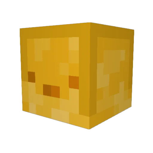 nuttellapancakes Minecraft avatar head, 3D render