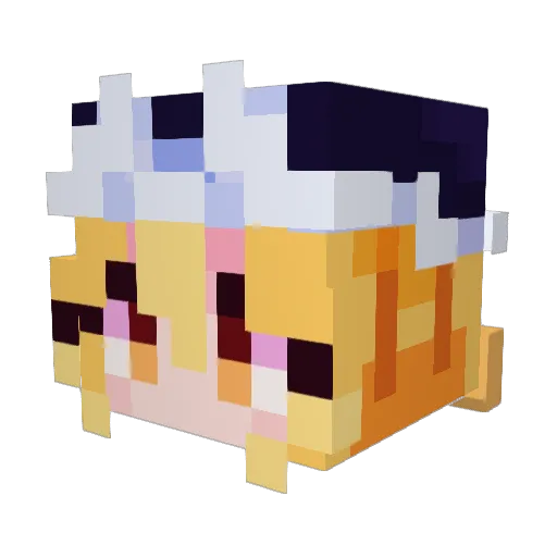 nutti29478 Minecraft avatar head, 3D render