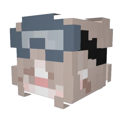 nuuuskasan Minecraft avatar head, 3D render