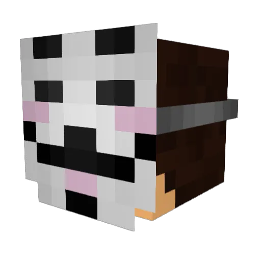 nvdakid Minecraft avatar head, 3D render