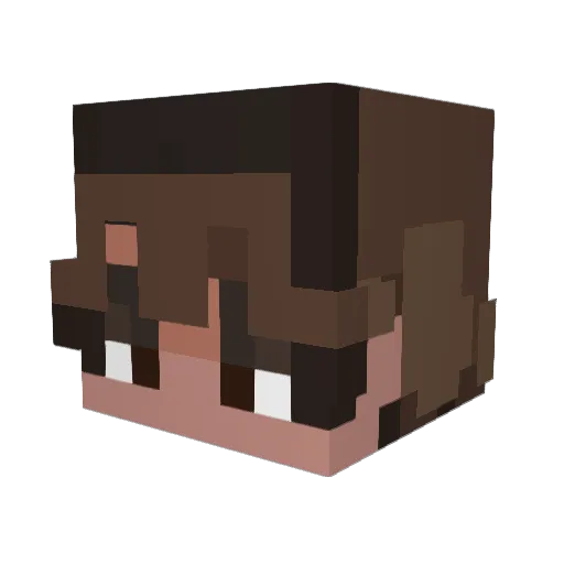 nvee_ Minecraft avatar head, 3D render