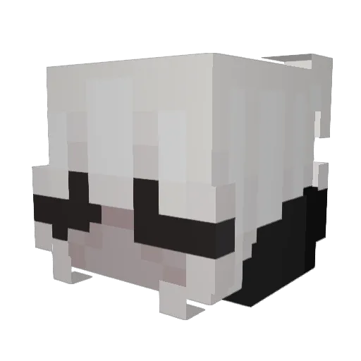 nverqnd Minecraft avatar head, 3D render