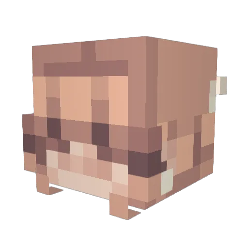 nvertheless Minecraft avatar head, 3D render