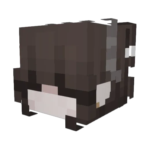 nvmli Minecraft avatar head, 3D render