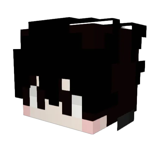 nwa2cauxcaux Minecraft avatar head, 3D render