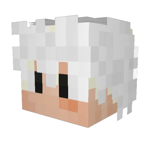 nwaf77 Minecraft avatar head, 3D render