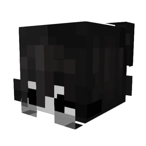 nwertyy Minecraft avatar head, 3D render