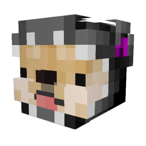 nwid Minecraft avatar head, 3D render