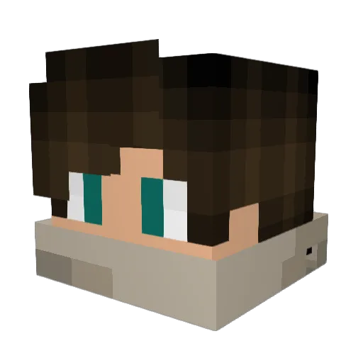 nwilson97 Minecraft avatar head, 3D render
