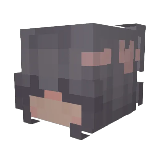 nwixy Minecraft avatar head, 3D render